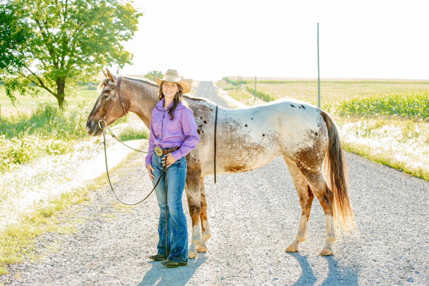 A spotted horse stands on a gravel path with trees and greenery in the background.