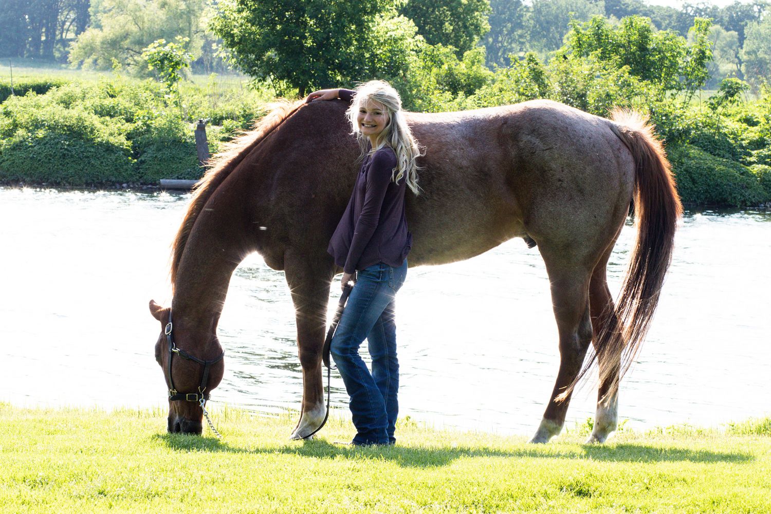 A group of horses grazing in a sunny green pasture beside a lake with people walking among them.