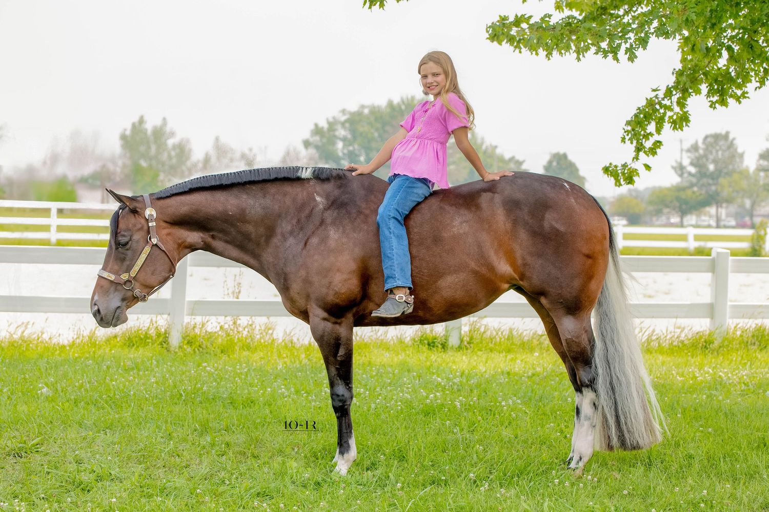 A horse and handler interact in a green field with white fencing and trees visible in the springtime setting.