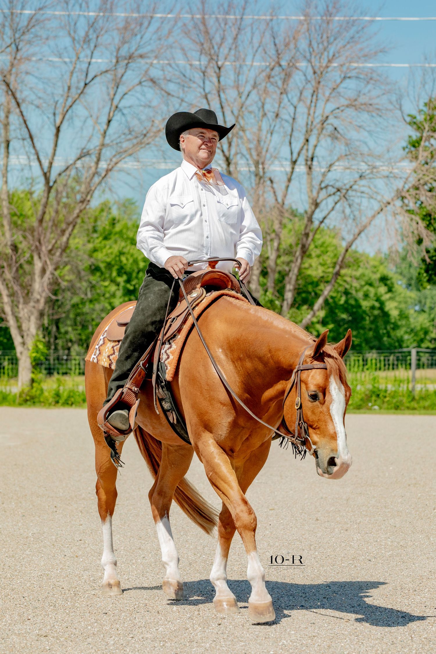 Equestrian rider performs sidestepping maneuver with chestnut and white paint horse in outdoor arena.