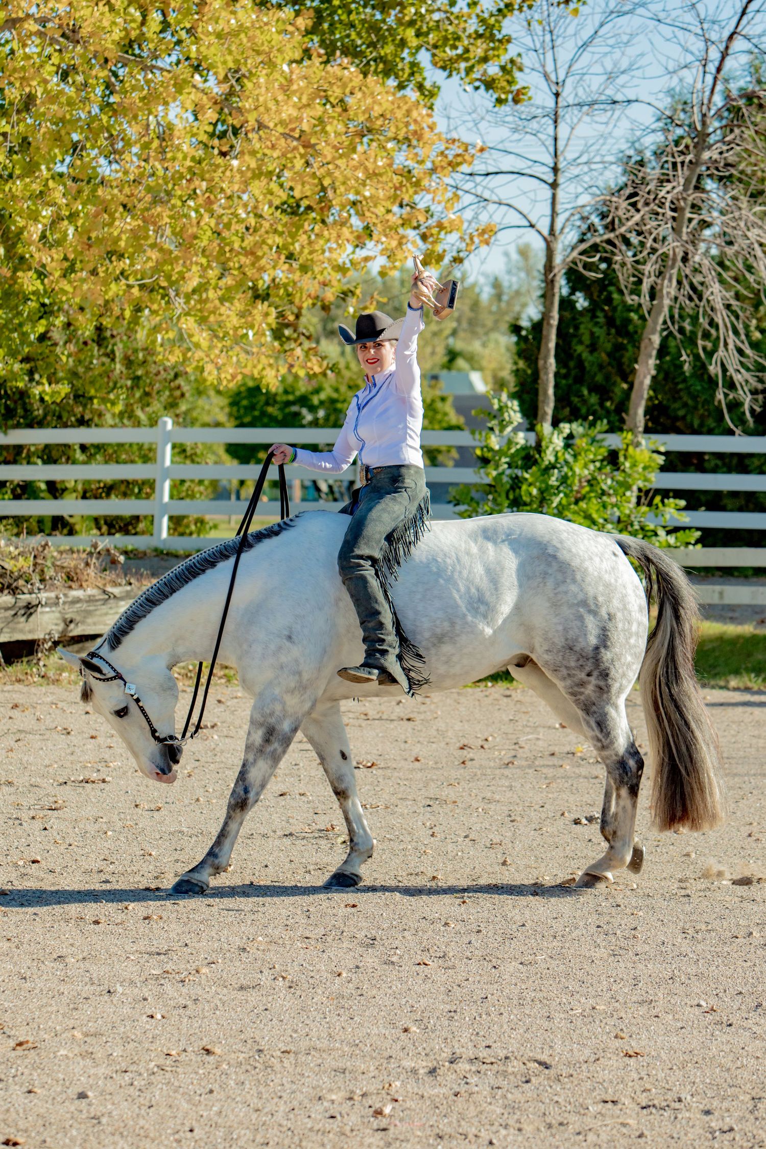 A sequence of photos showing a rider performing a falling dismount from a white horse in an outdoor arena.
