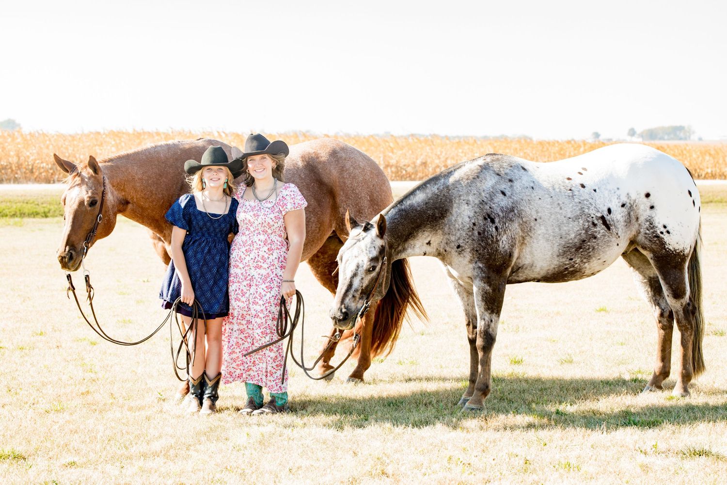 Two horses - one brown and one dappled gray - grazing in a sunny pasture on a warm afternoon.