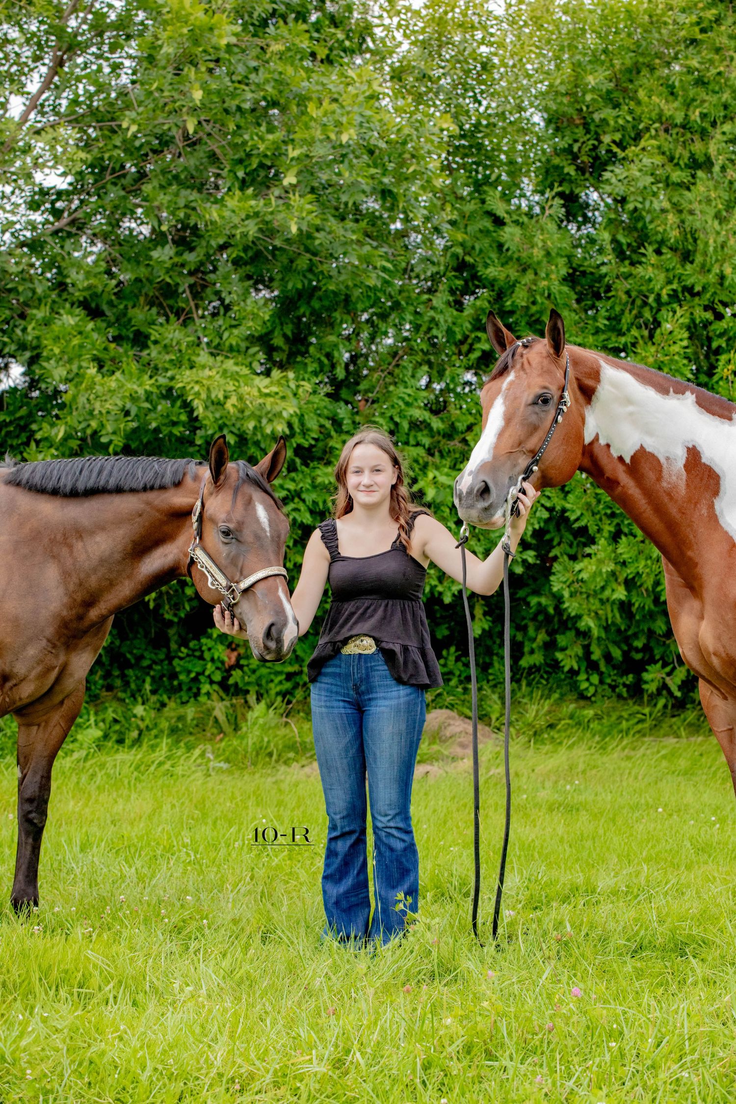 Four connected images show horses with paint markings standing in a green field beside handlers wearing jeans.