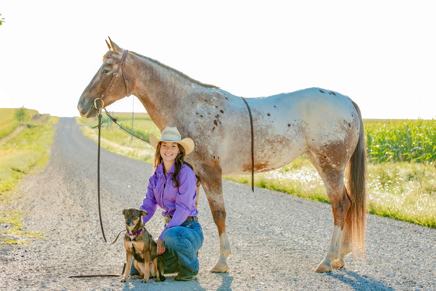 Person leading multiple horses along a gravel path in a pastoral countryside setting.