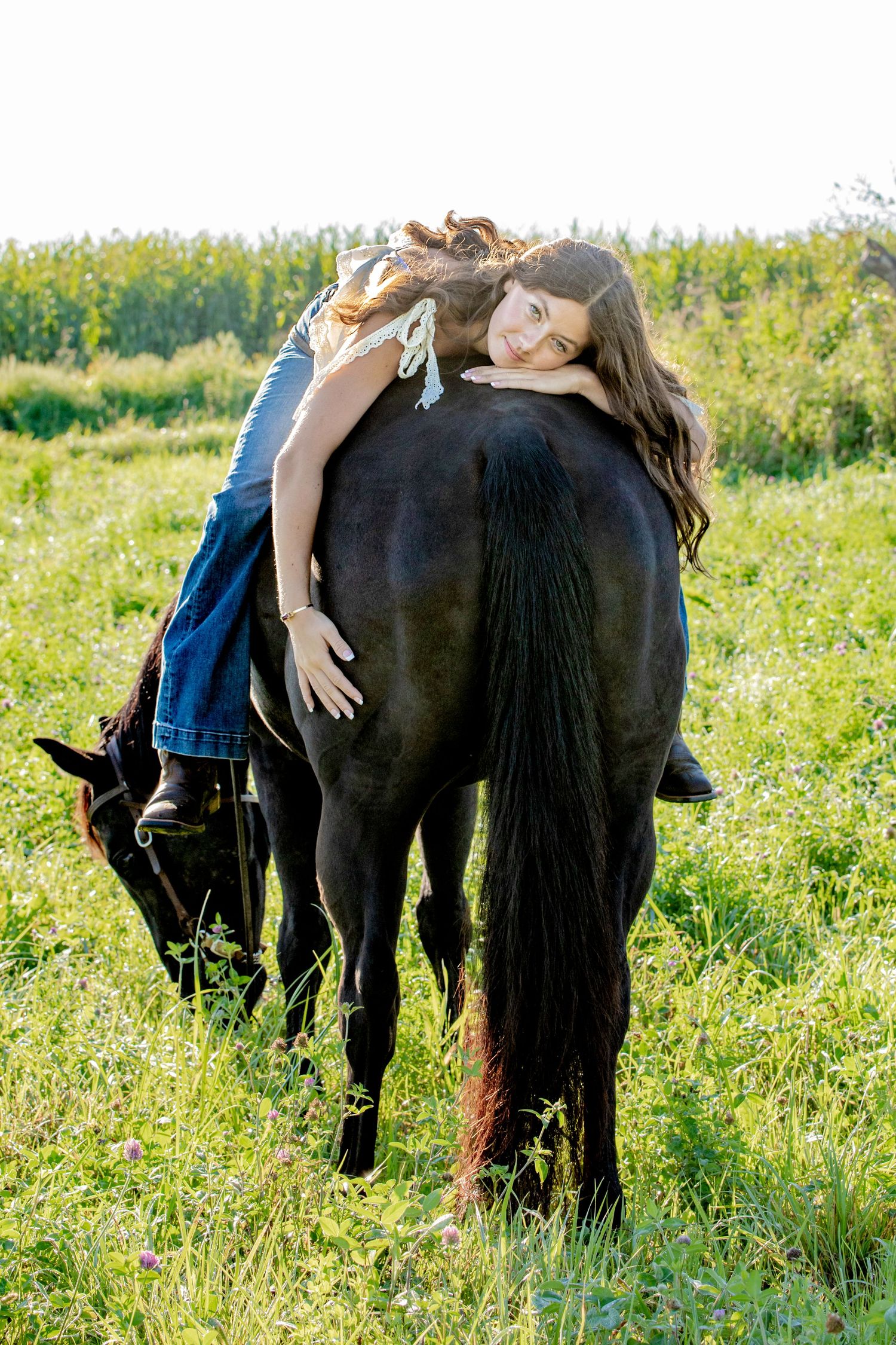 A black horse grazes while someone relaxes on its back in a summer field.