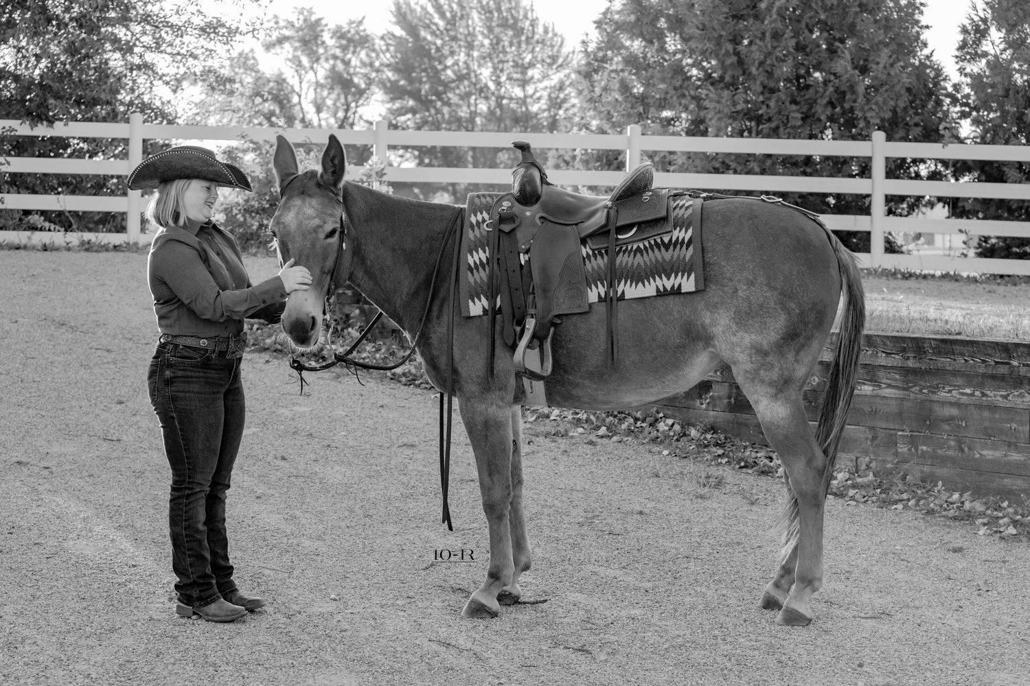 Black and white photo of people with horses in a fenced area.