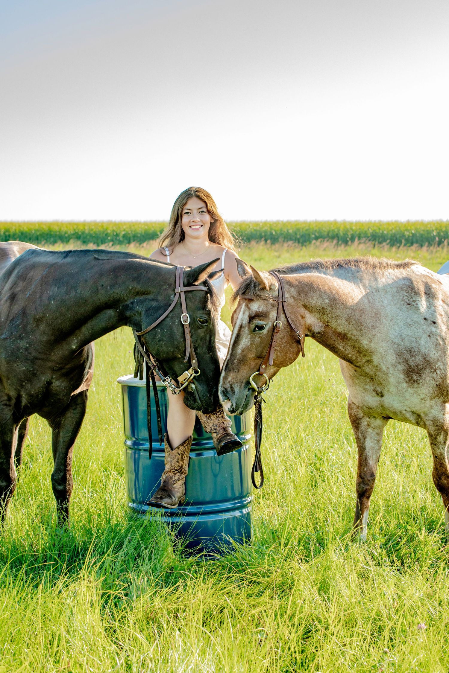 Two horses stand with their heads together in a sunny meadow with rolling fields behind them.
