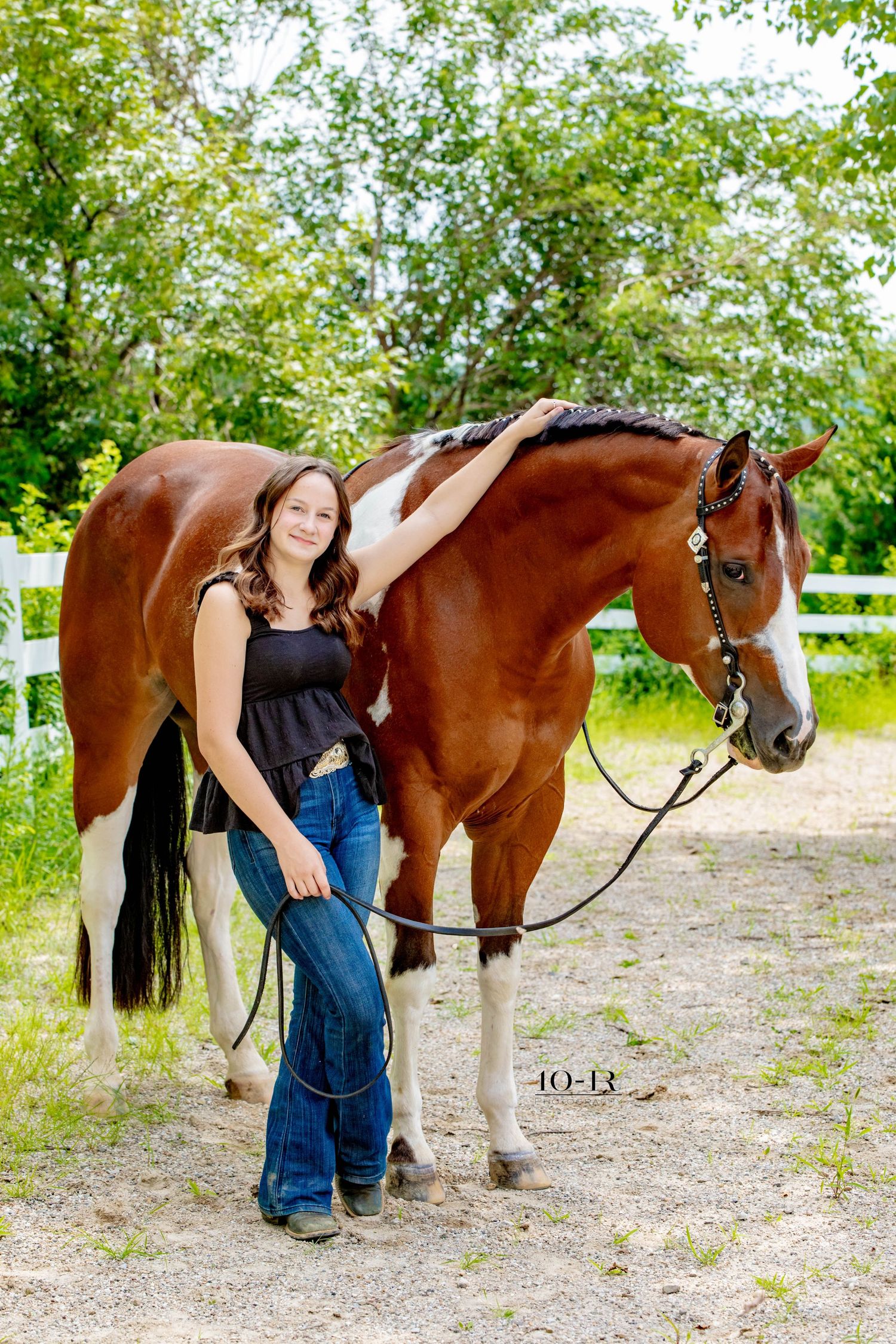A bay horse with white markings stands on a gravel path near green foliage.