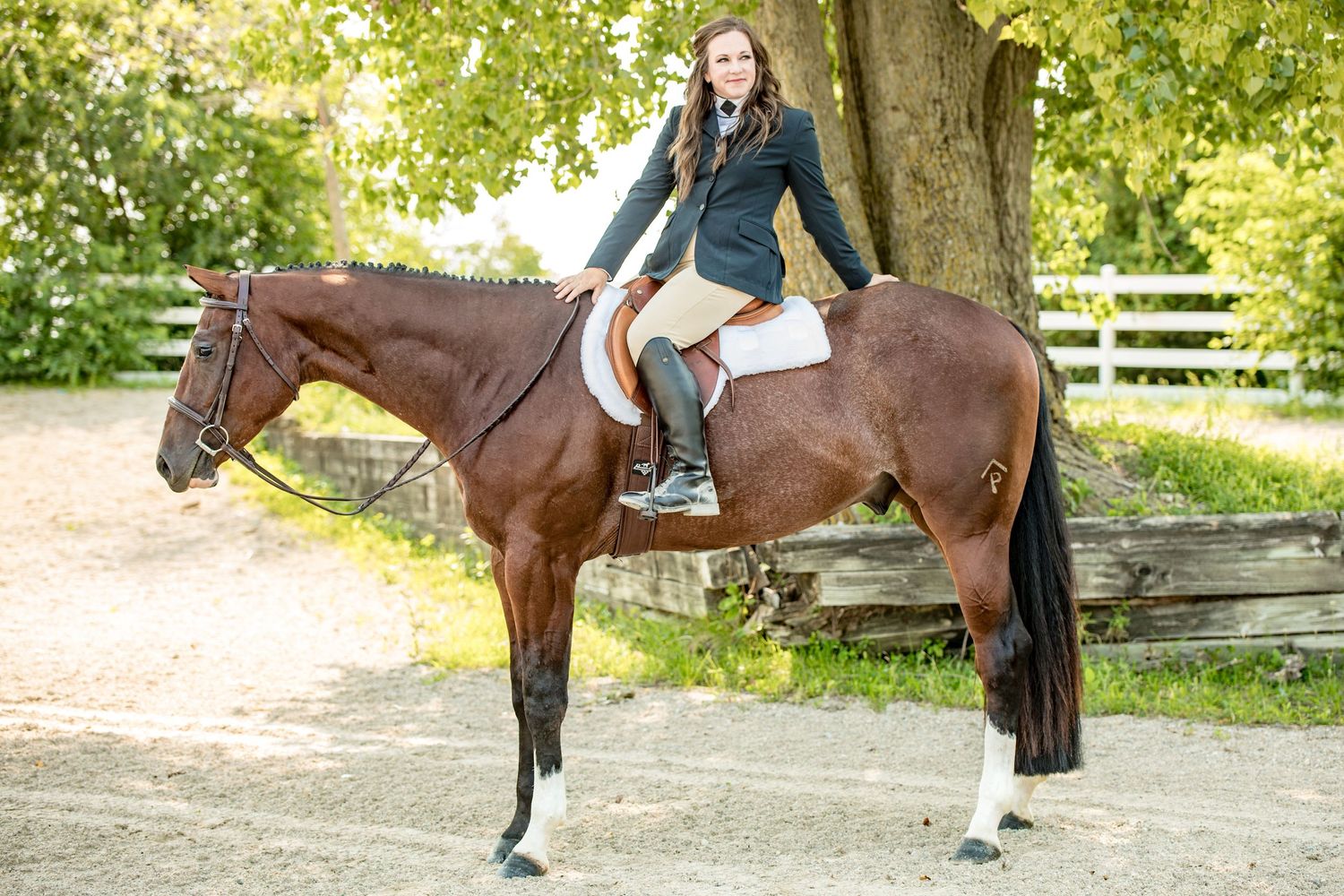 Equestrian mounted on bay horse near wooden fence in countryside setting.