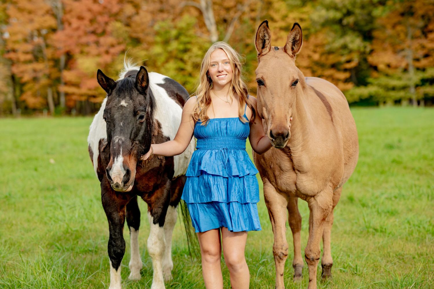 Horses grazing together in a green autumn field with colorful foliage in the background.