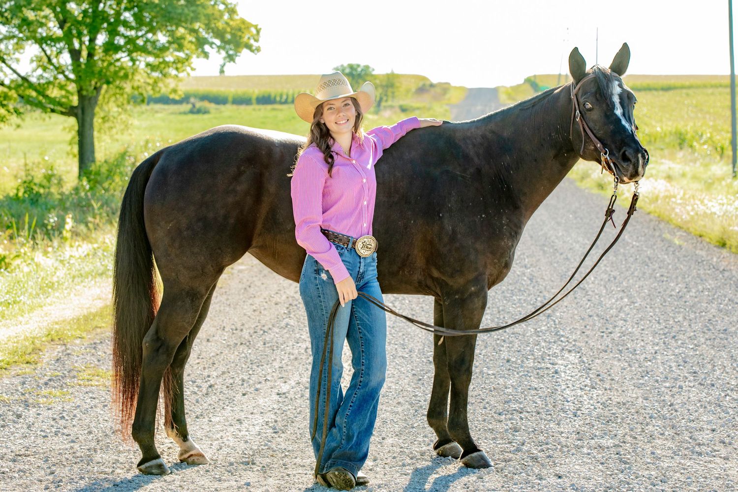 Person leads black horse along gravel path with green trees in background.