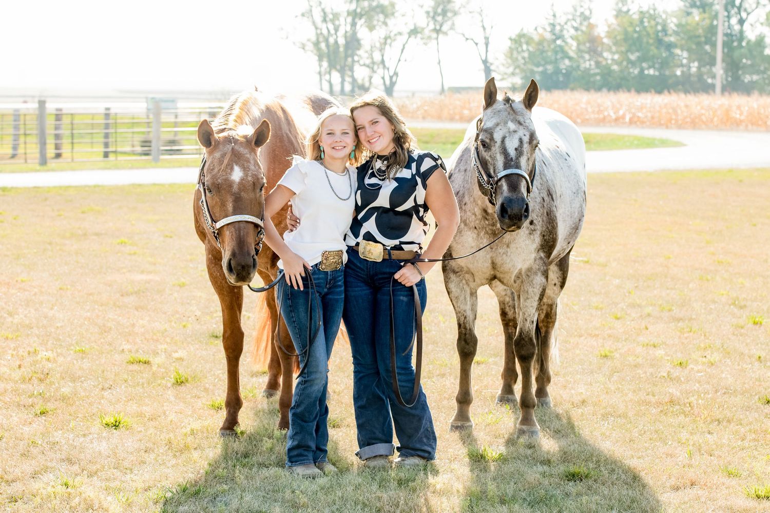 Three horses - brown, gray, and roan - stand together in a sunny pasture with fencing in background.