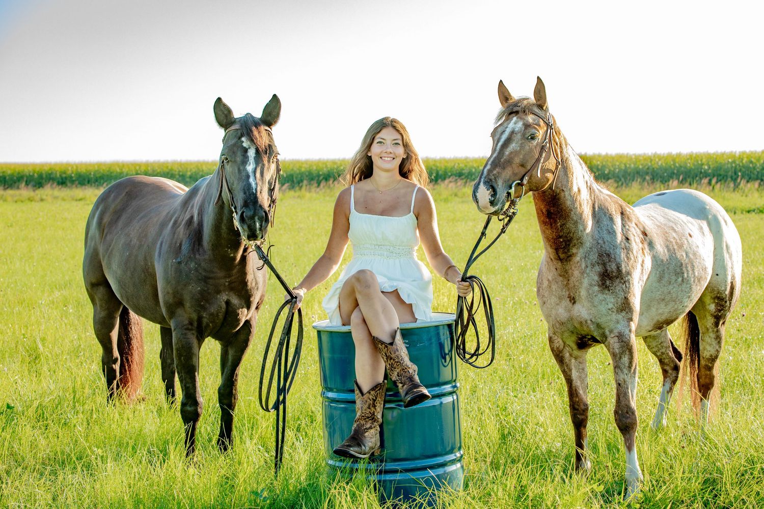 Row of gray horses stand together in green summer pasture during golden hour photography session.