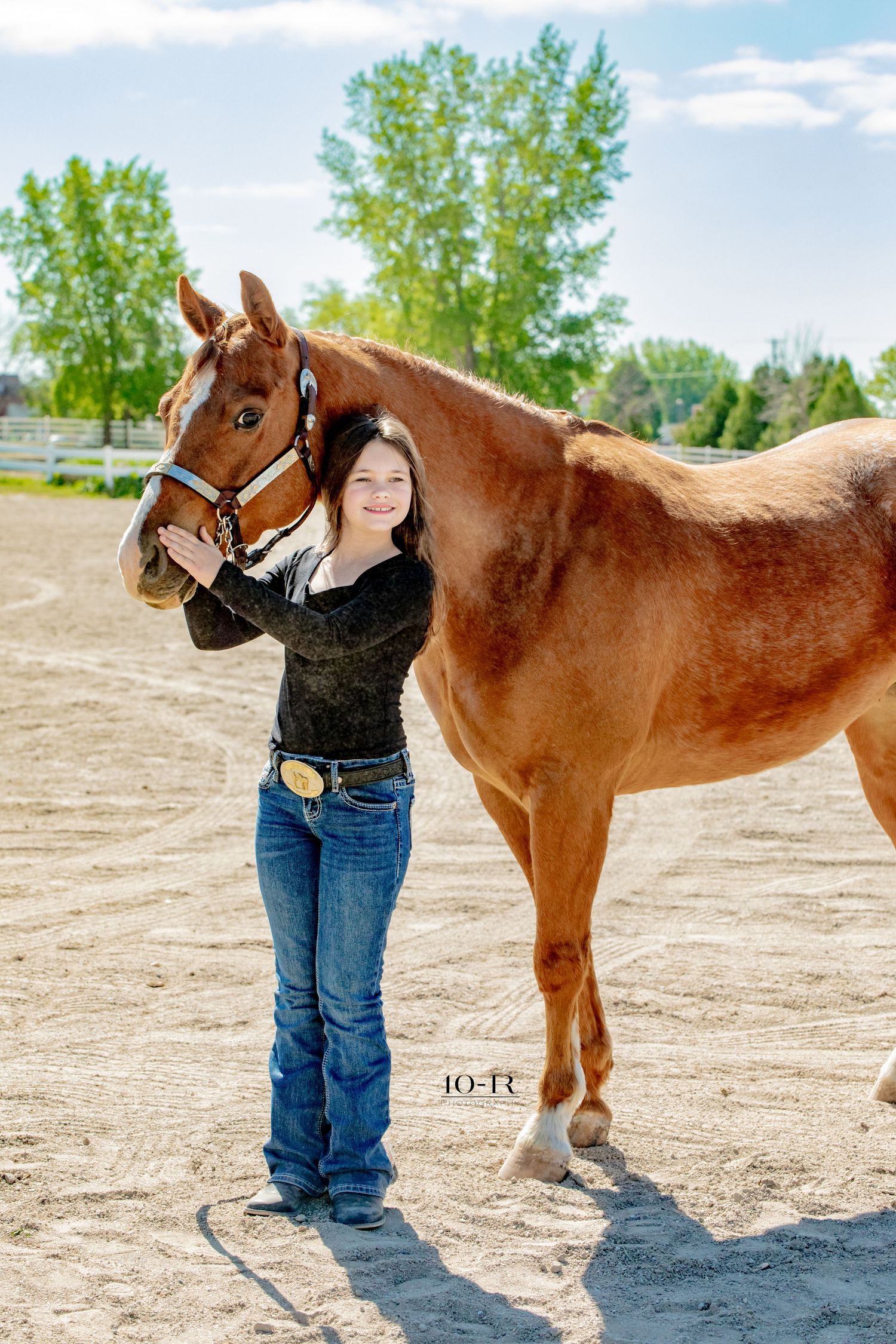 A chestnut-colored horse with black halter stands next to someone in blue jeans on sandy ground near green trees.