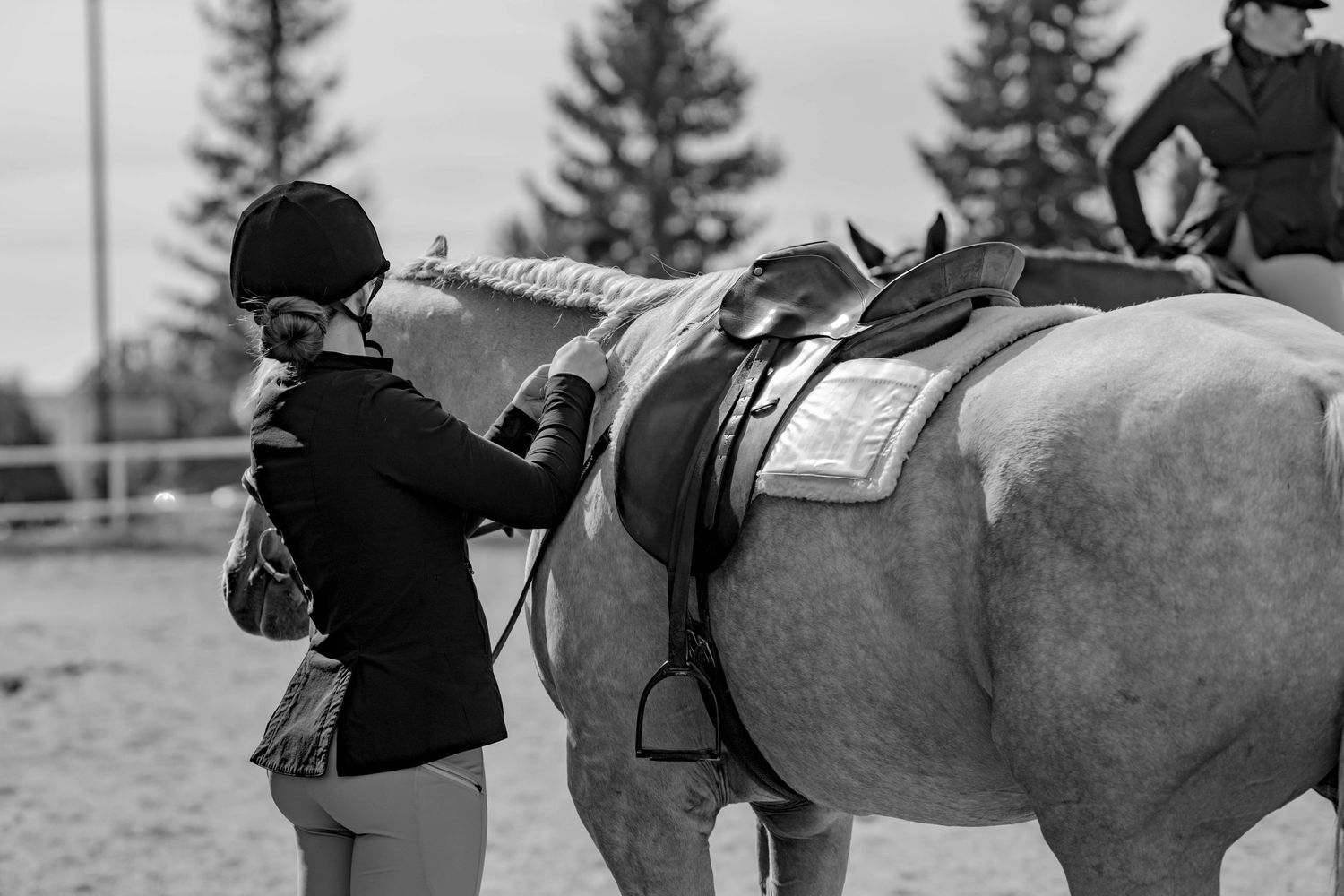 Black and white photo of an equestrian adjusting tack on a light-colored horse in a riding arena.