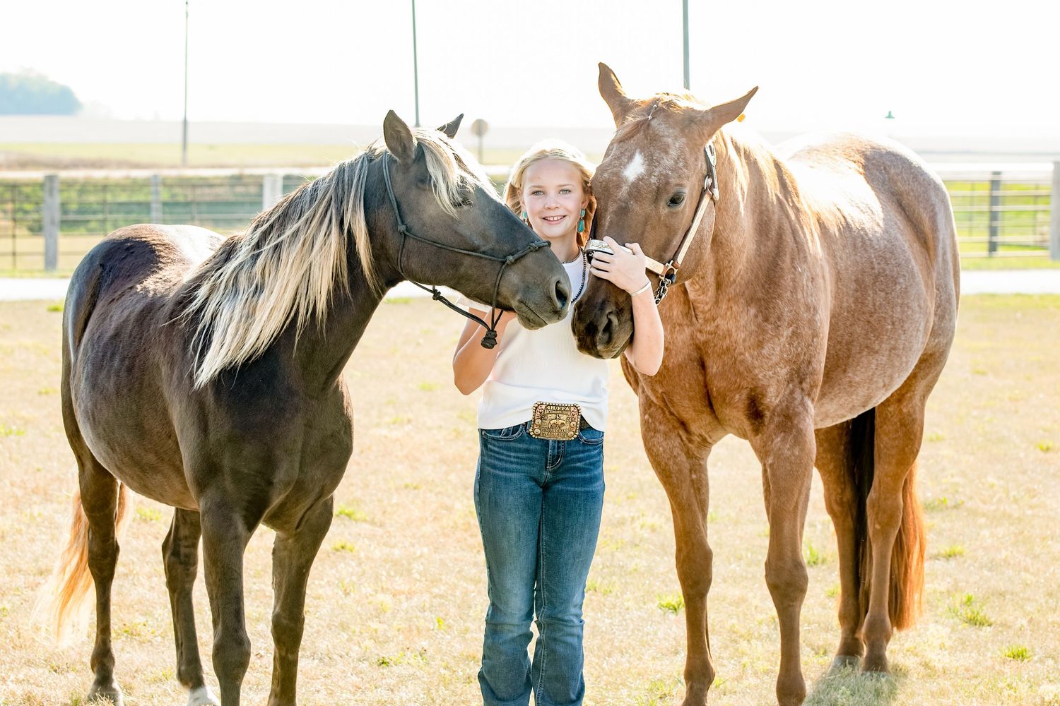 Two beautiful horses - one black and one brown - nuzzle close together in a paddock.