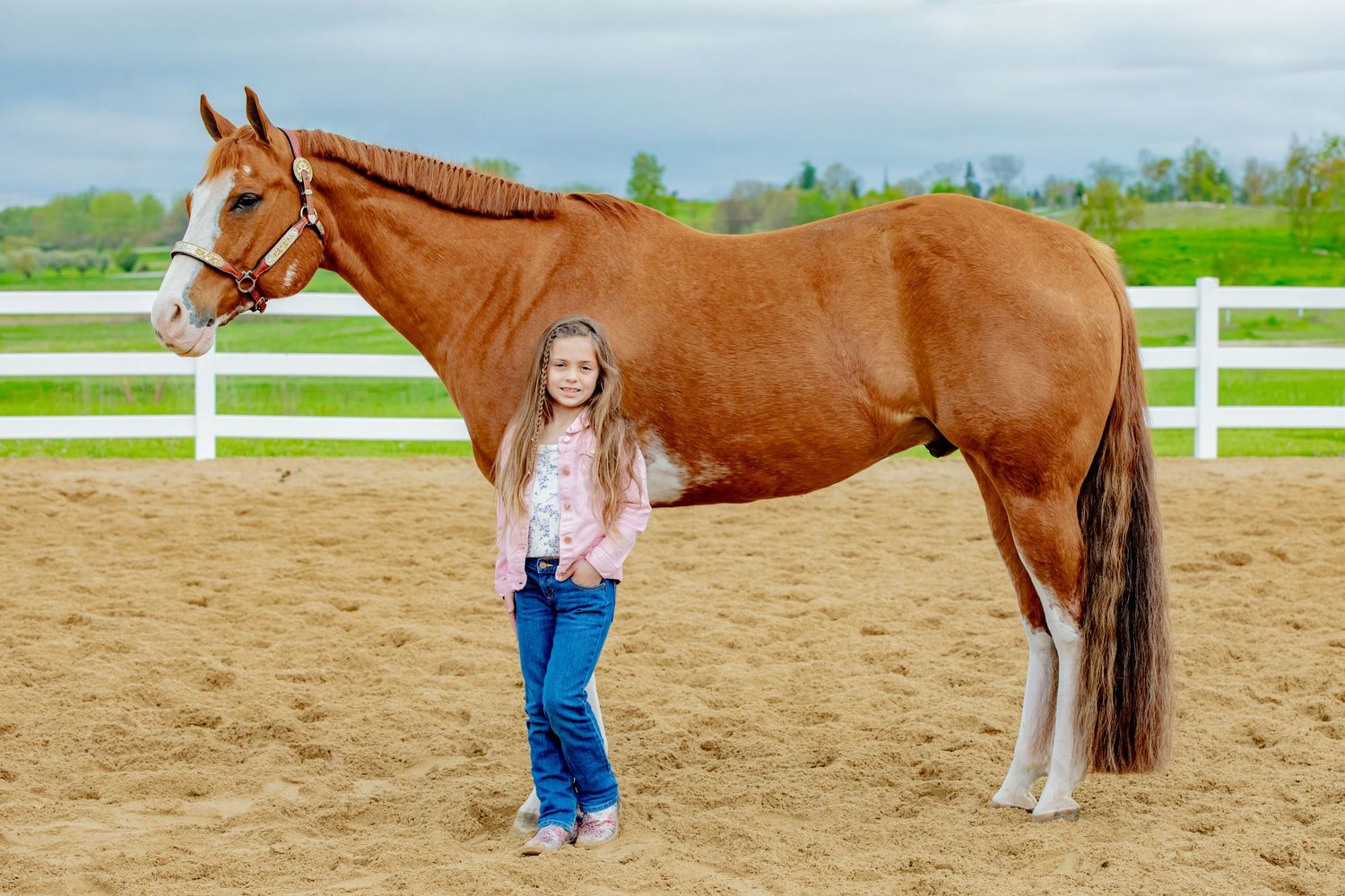 A beautiful chestnut horse stands next to someone in a riding arena with white fencing in the background.