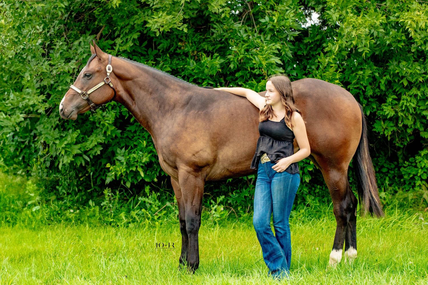 A tall brown horse stands in a lush green field while someone in blue jeans stands beside it.