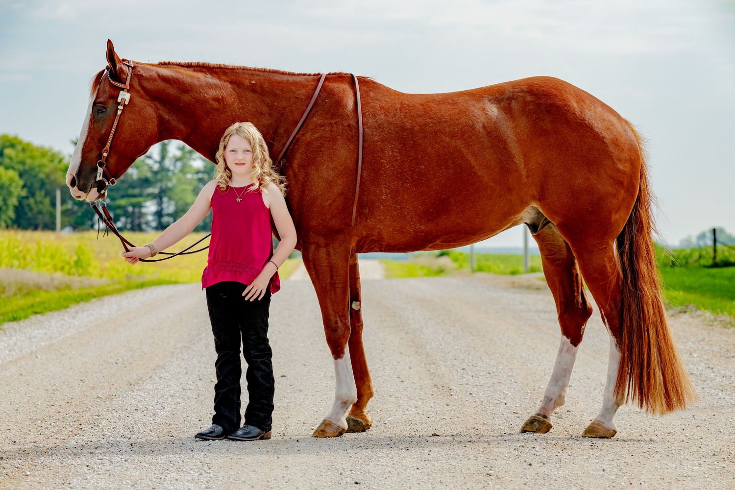 A young blonde girl stands beside a chestnut horse on a rural gravel road, holding its reins in a pink top.