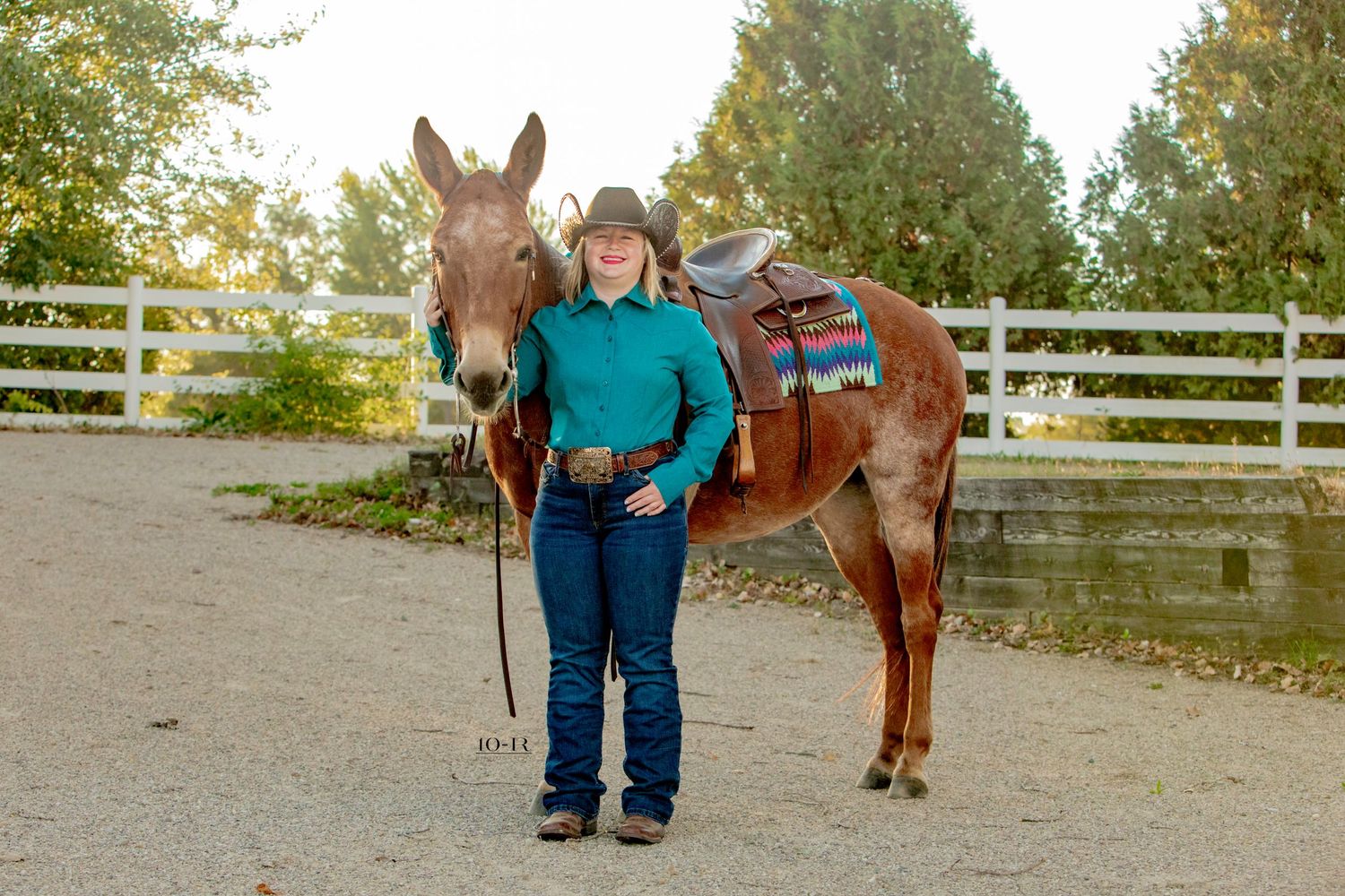 A brown horse with riders stands in a sandy riding arena on a sunny day with green trees in the background.