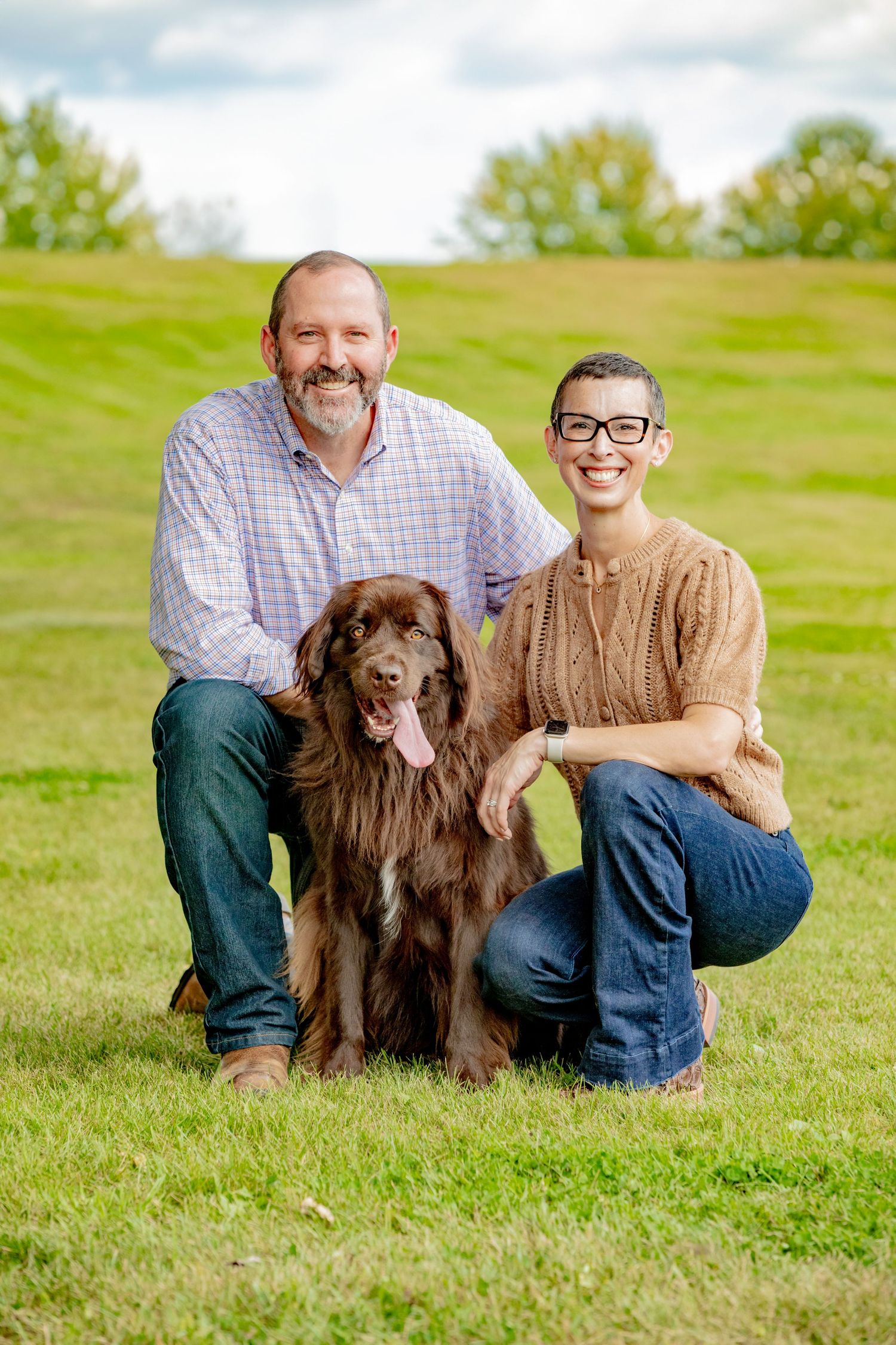 A brown Newfoundland dog sits on green grass outdoors with two people on a sunny day.