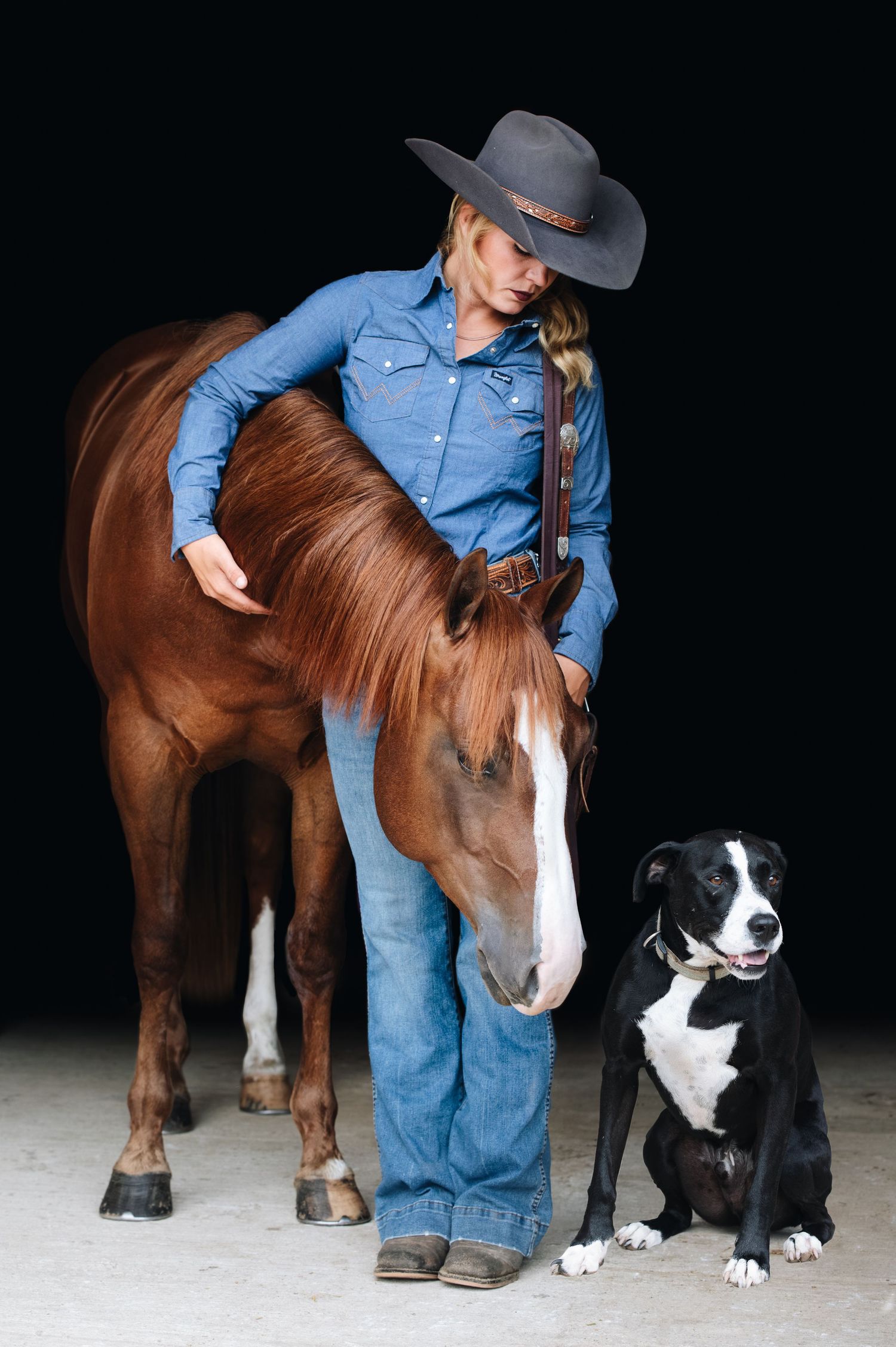 A western-style scene with a chestnut horse and black and white border collie.