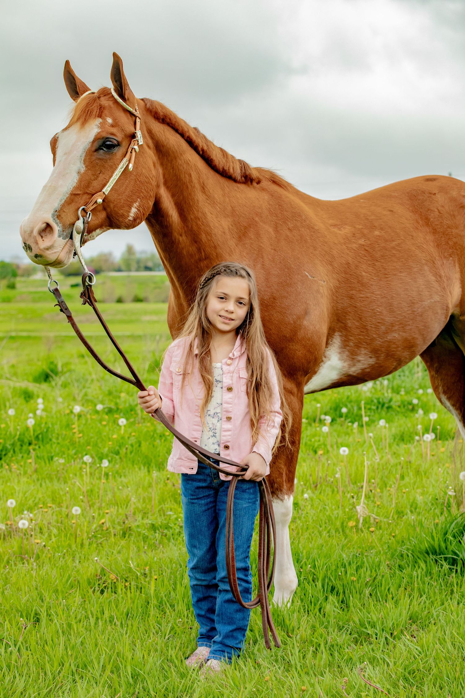 Young equestrian stands with a chestnut horse in a green meadow wearing pink shirt and jeans.