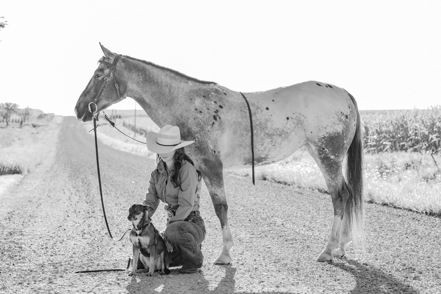 A horse stands patiently while accompanied by a dog and companion in a black and white photo.