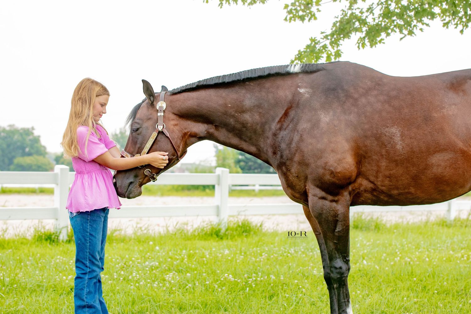 A horse and its handler stand together in a grassy pasture with white fencing and trees in the background.