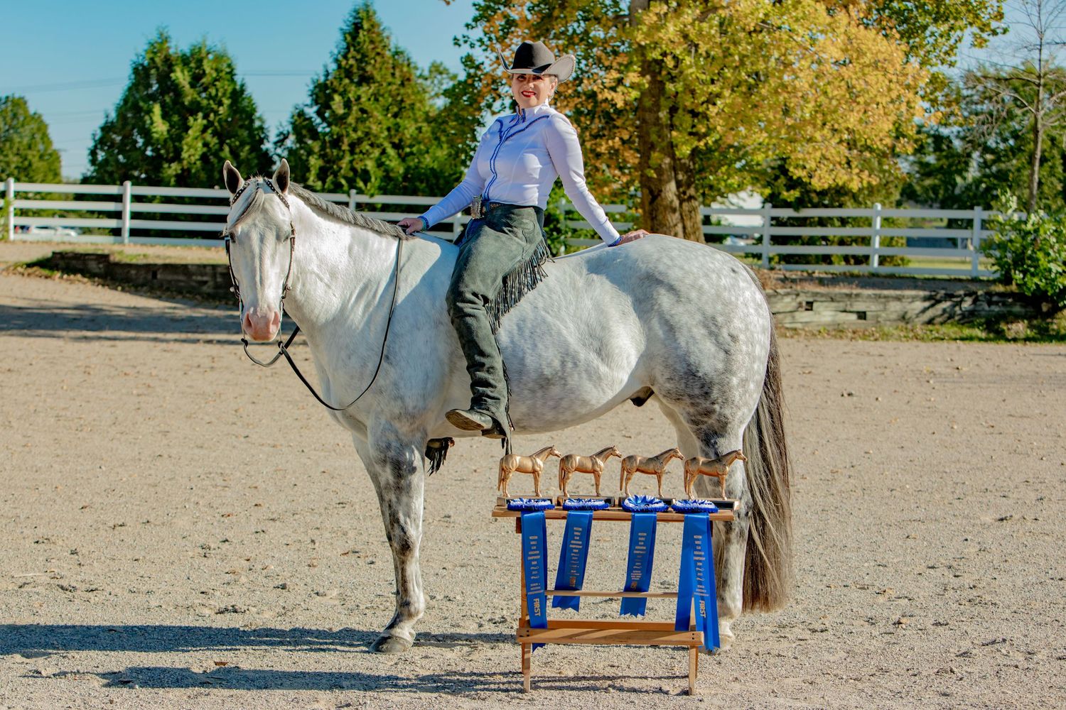 A white horse and rider practicing jumps over blue poles in an outdoor arena during training.