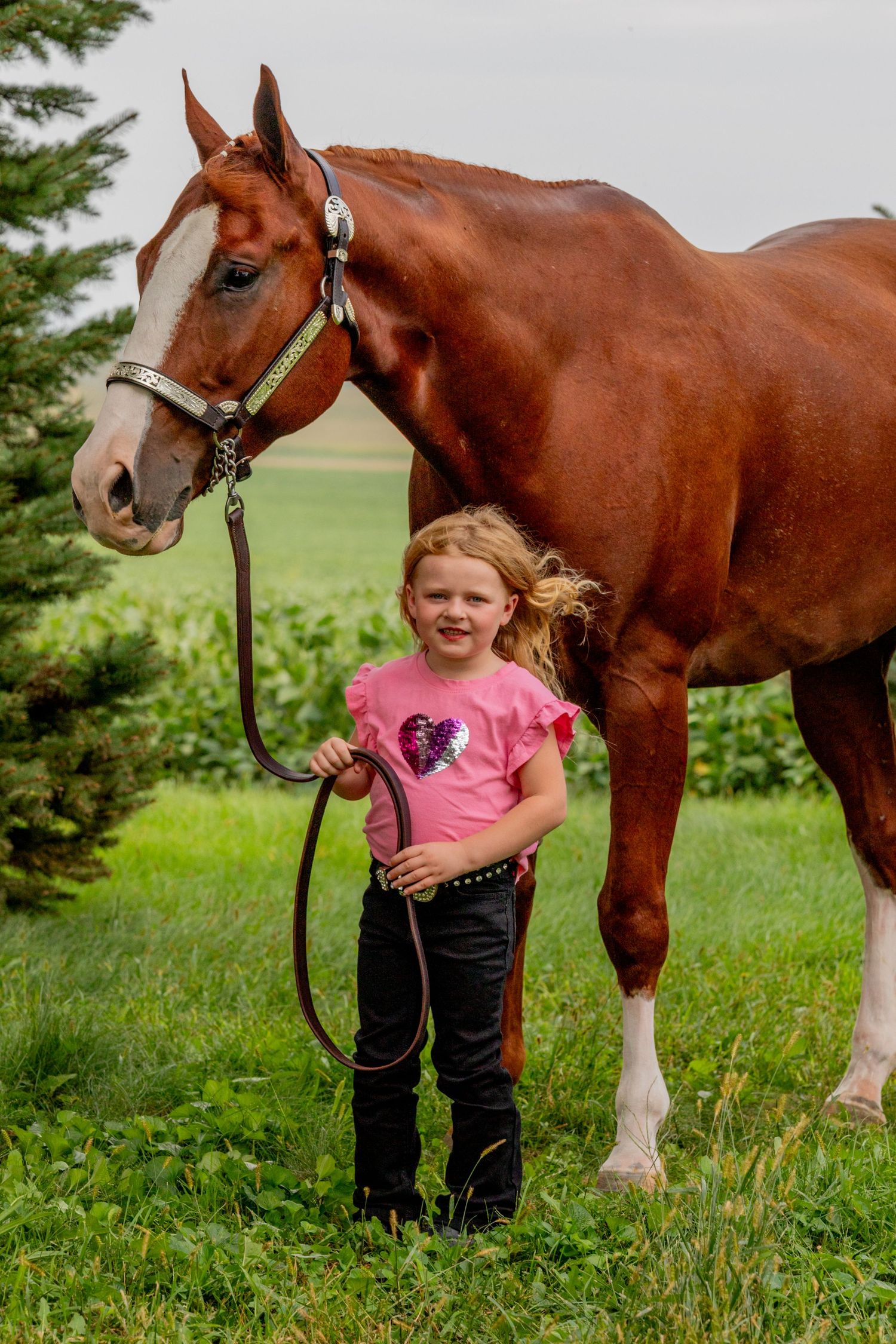 Young blonde girl in pink shirt holds lead rope of chestnut horse with white blaze in green field.