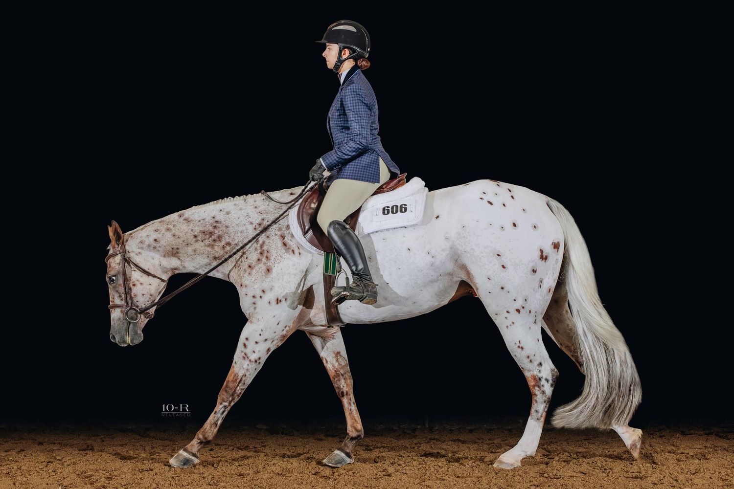 Equestrian rider guiding a white horse through an indoor arena at night.
