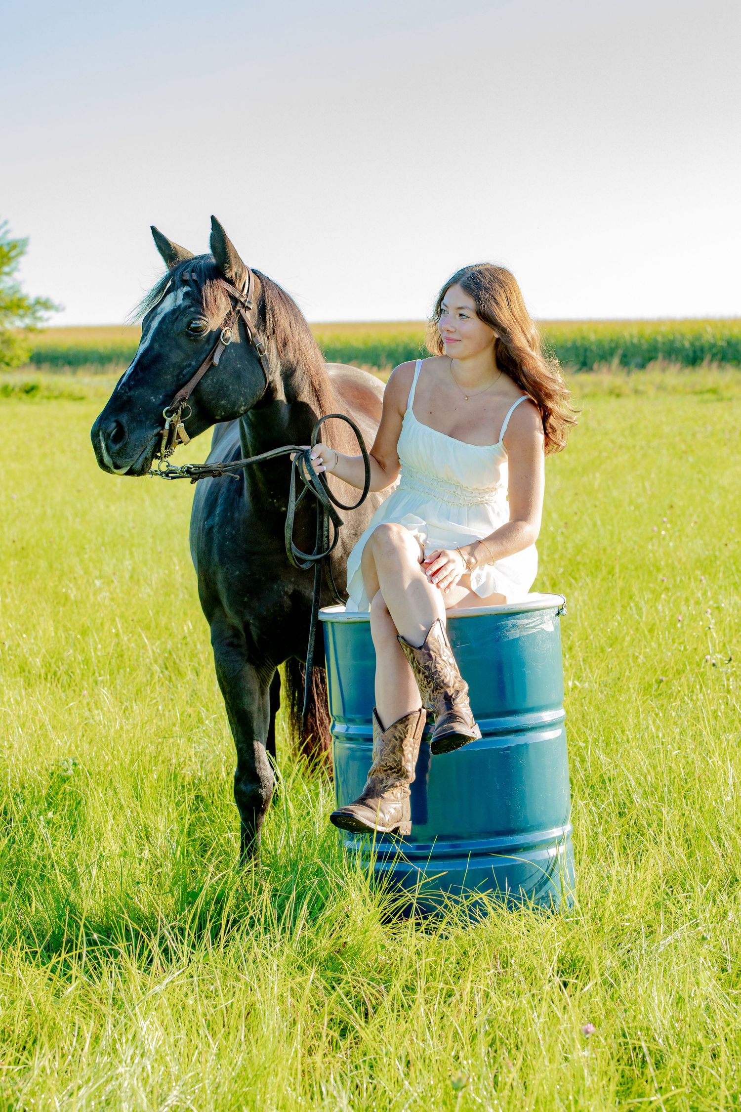 Person in light dress sits on blue barrel with black horse standing nearby in grassy field.