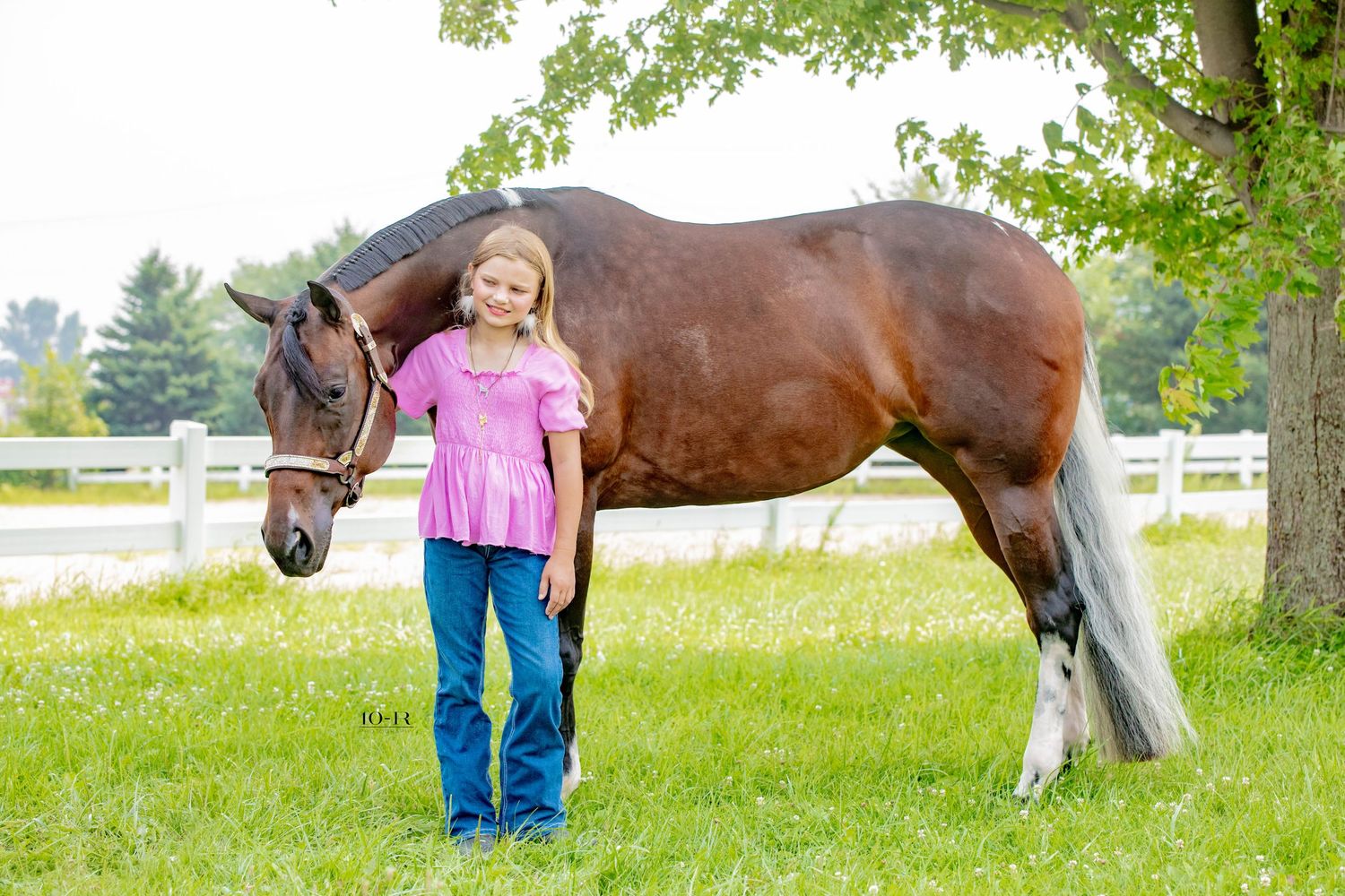 A horse and handler walk together on lush green grass near white fencing at a rural property.
