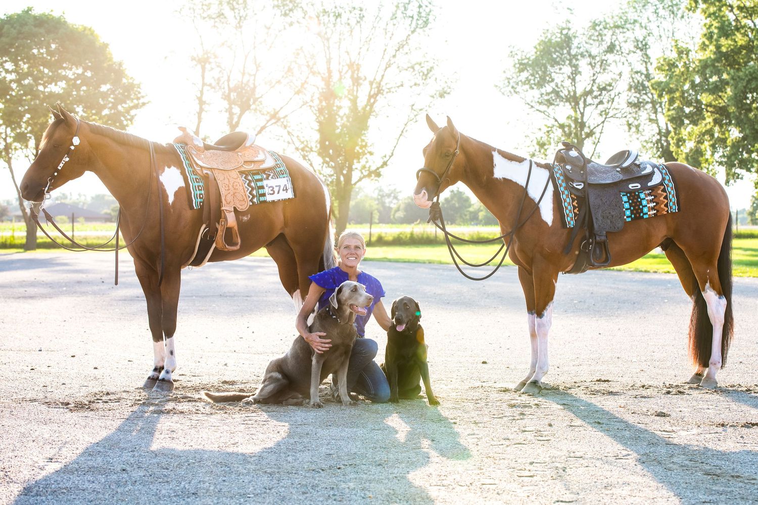 Two saddled horses stand in golden sunlight while their companions rest between them.