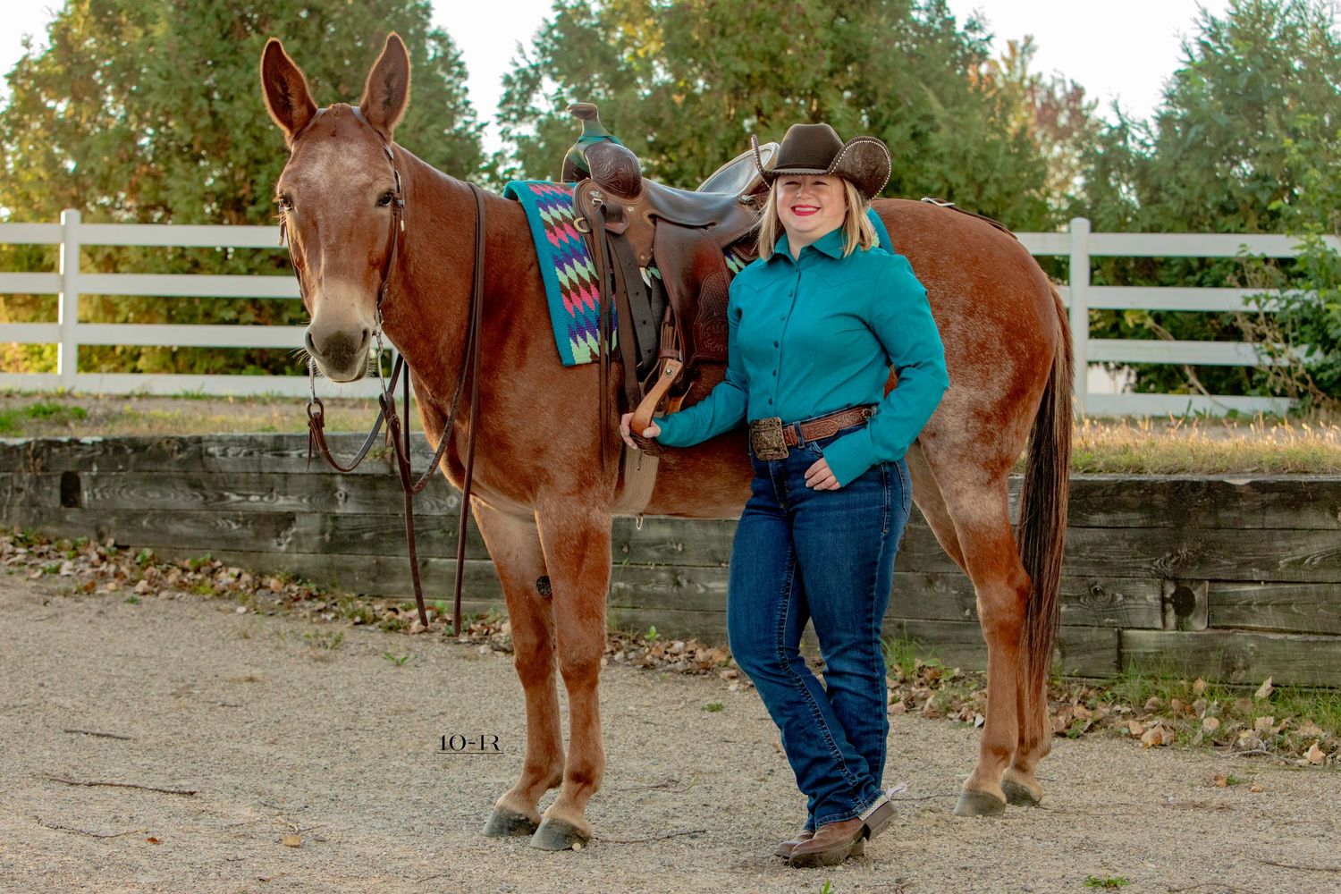 A chestnut horse being led along a dirt path near wooden fencing and autumn trees.
