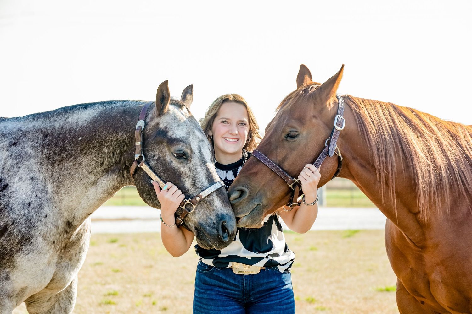 A close-up view of two horses - one gray and one brown - with halters in a sunny pasture.