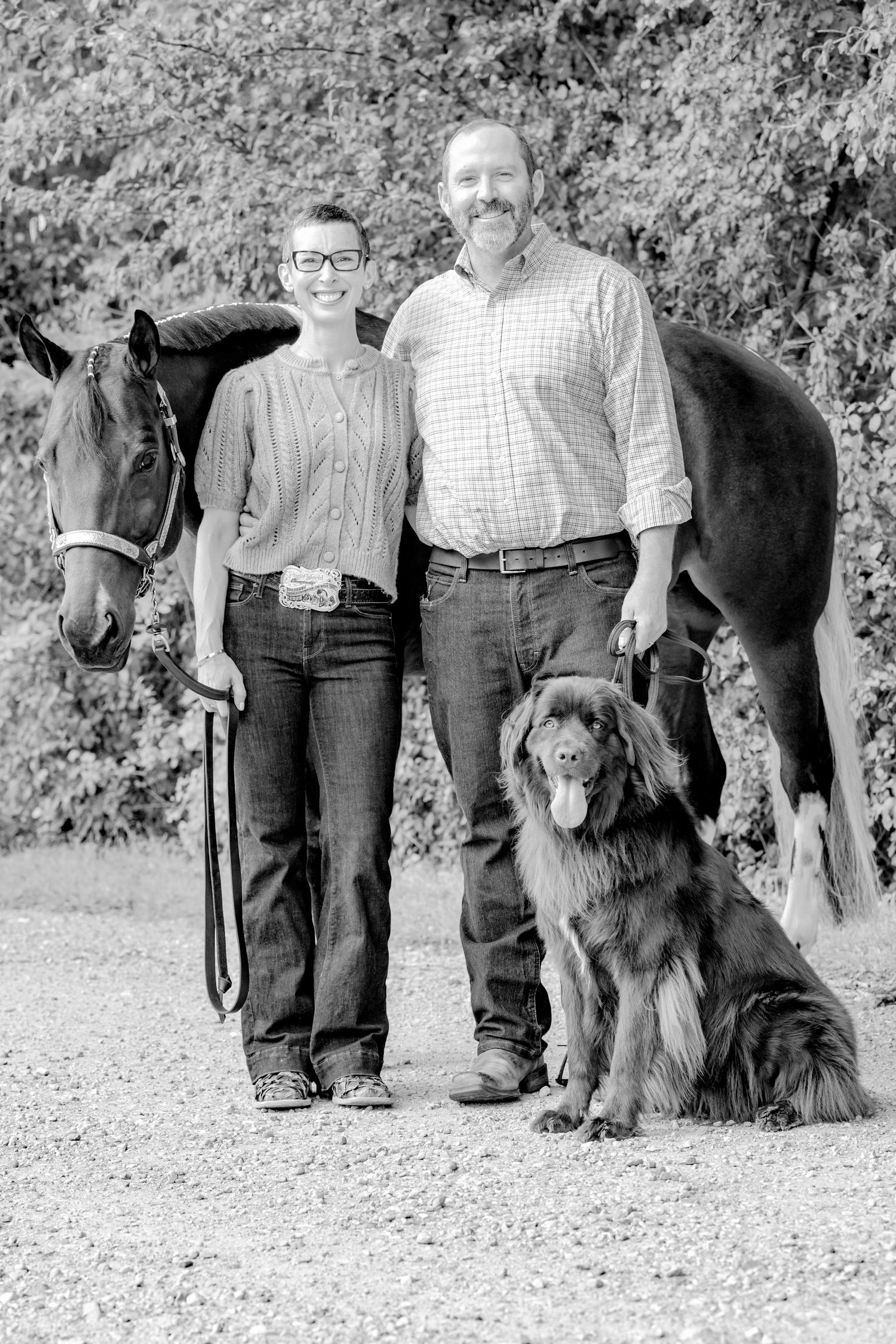 Black and white photo showing people standing with horses and dogs on a gravel path.