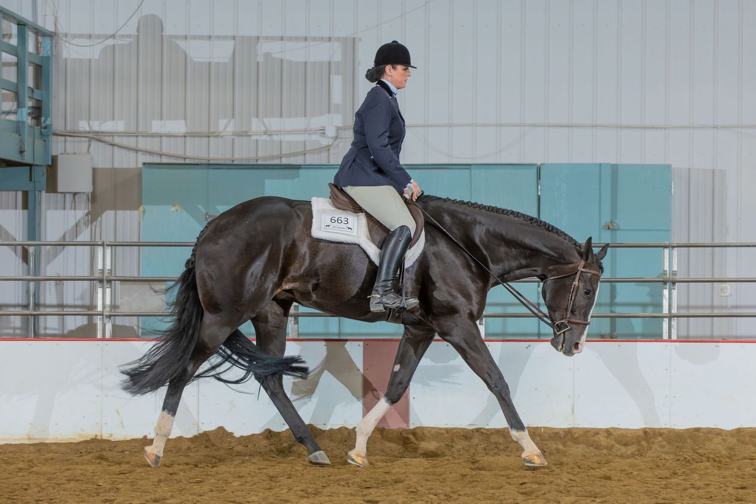 Horses and riders training in an indoor equestrian facility with metal walls.