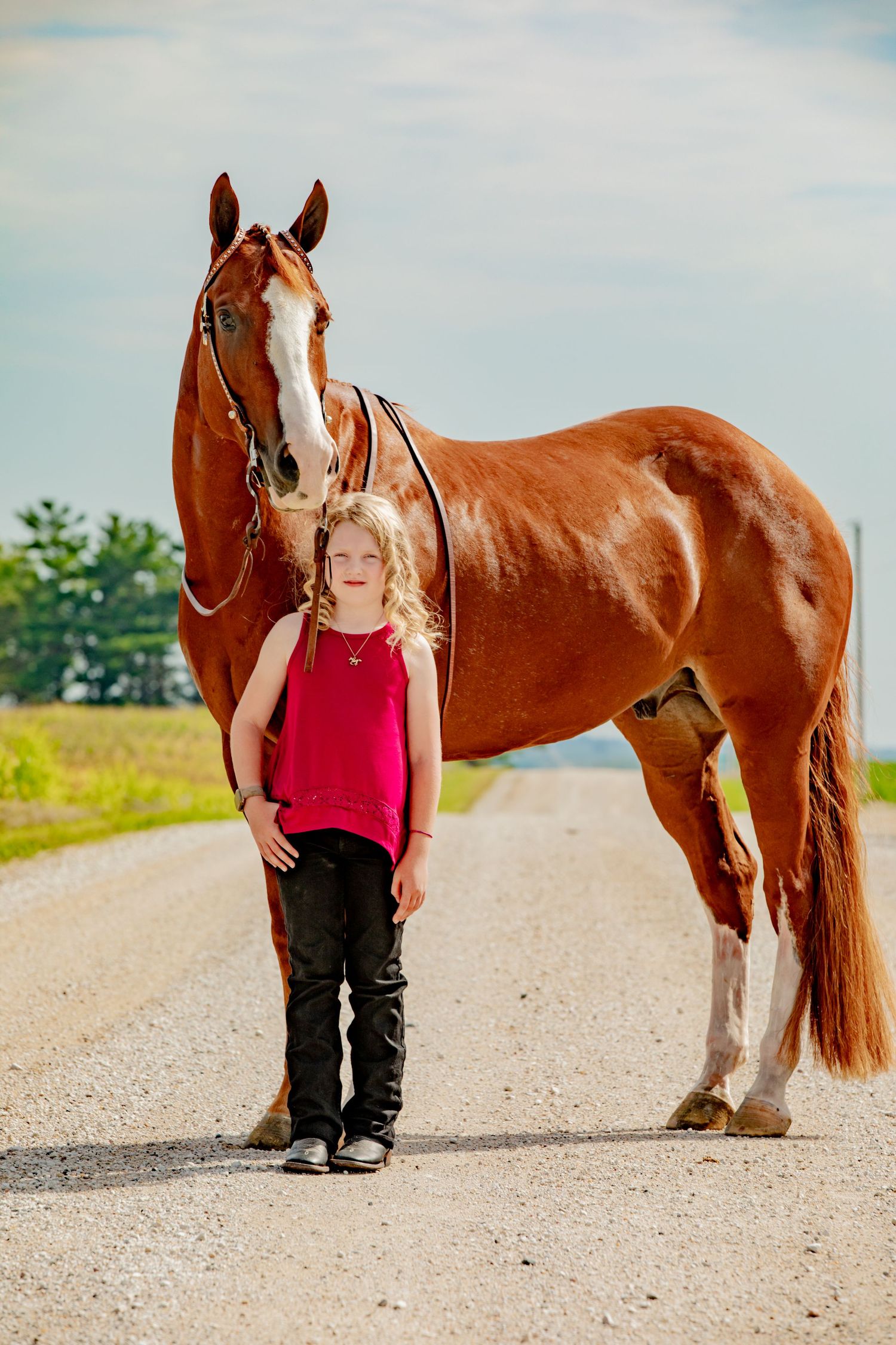Young blonde girl in pink top stands proudly beside a tall chestnut horse on a rural gravel road.