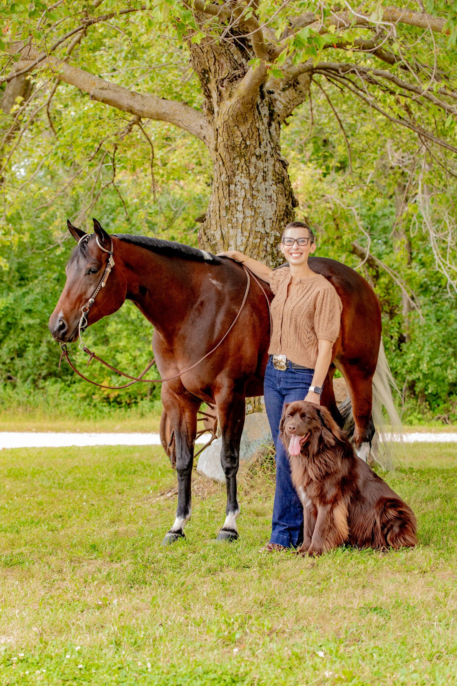 A brown horse and chocolate brown dog pose with their companion in front of a tree on grassy grounds.