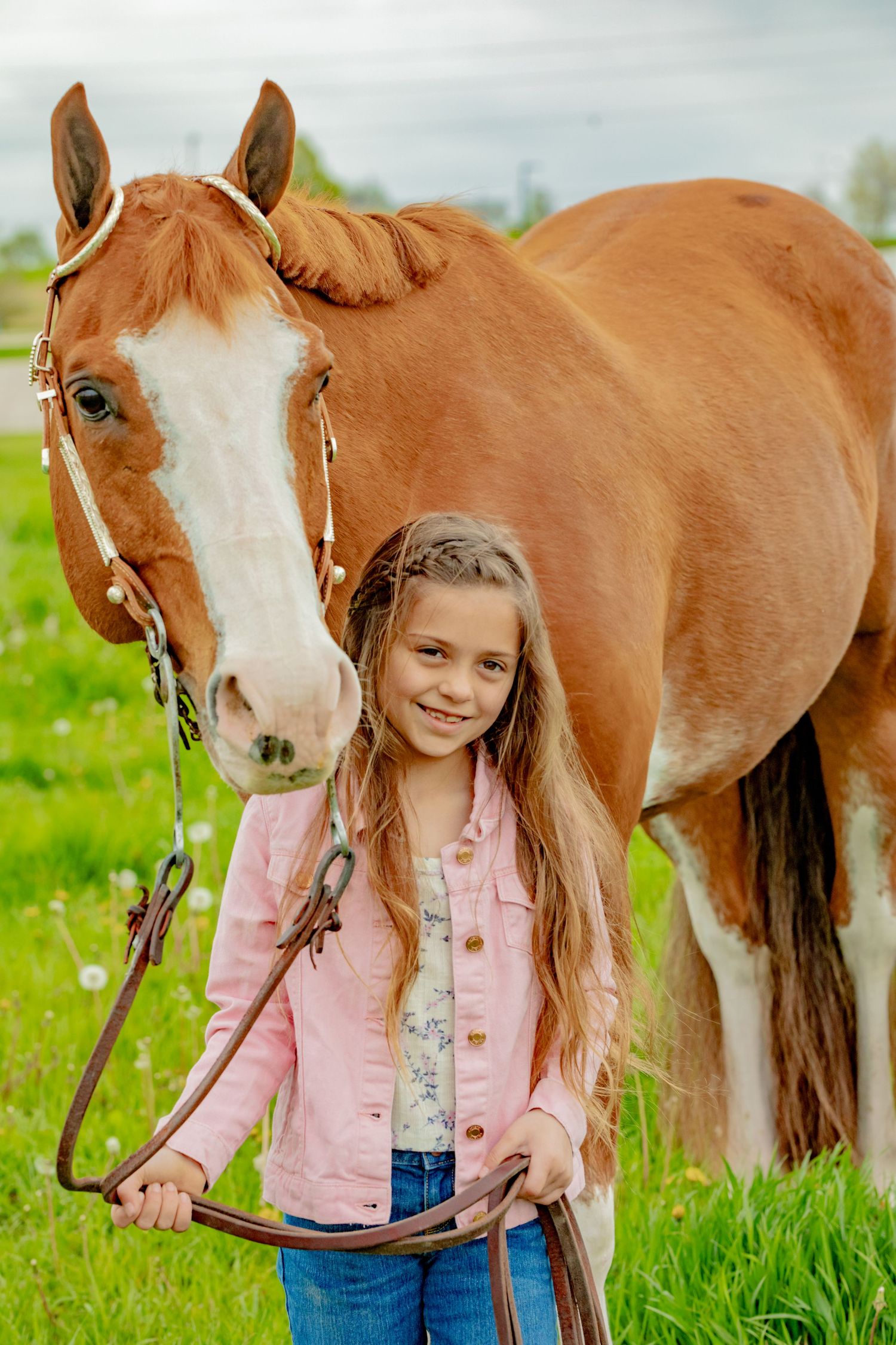 Beautiful chestnut horse with white blaze stands in green pasture on sunny day with young rider in pink jacket.
