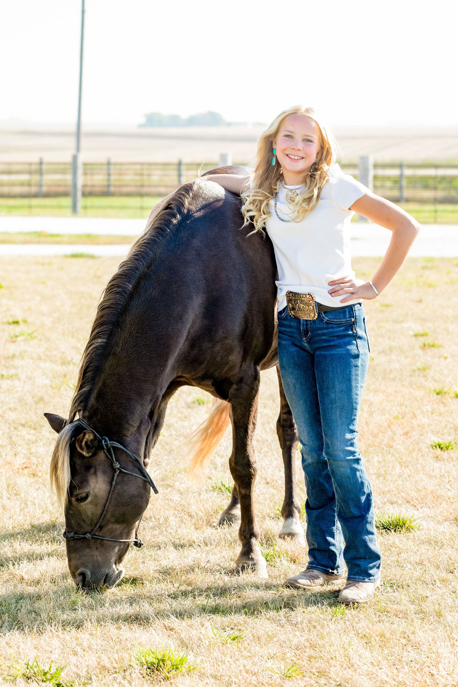 A black horse grazes while wearing a halter in a sunlit pasture with farm fencing visible.