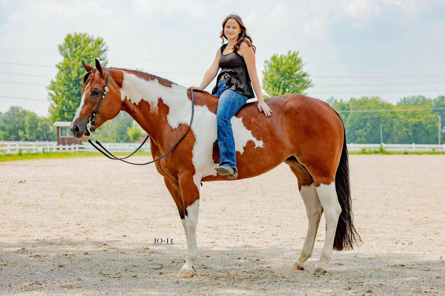 A brown and white paint horse stands in a sandy riding arena surrounded by green trees under a blue sky.