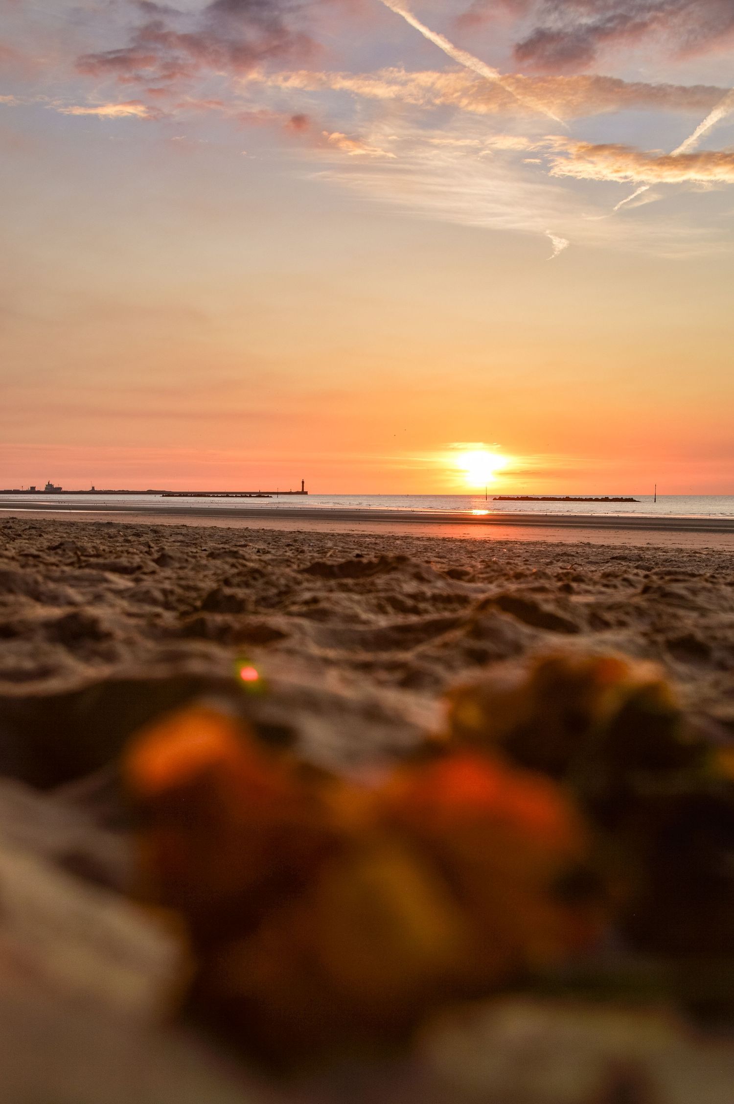 Beach sunset with golden light illuminating sand ripples in the foreground.