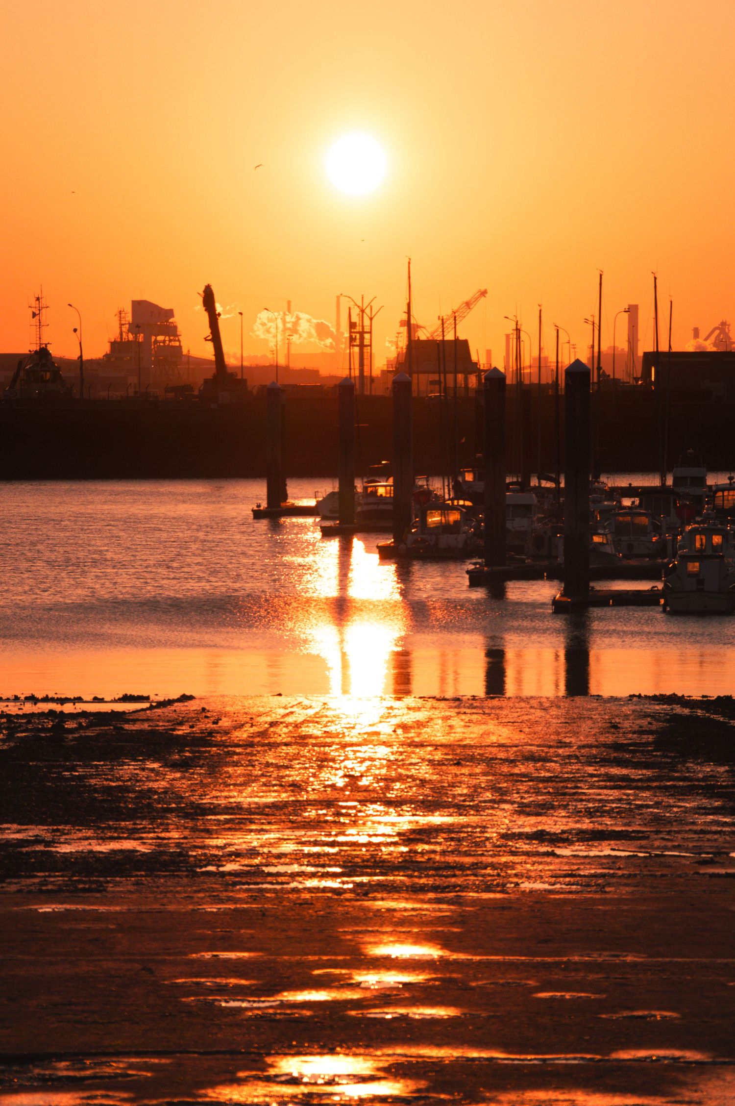 Dramatic orange sunset over harbor silhouettes boats and industrial structures reflecting on rippling water.