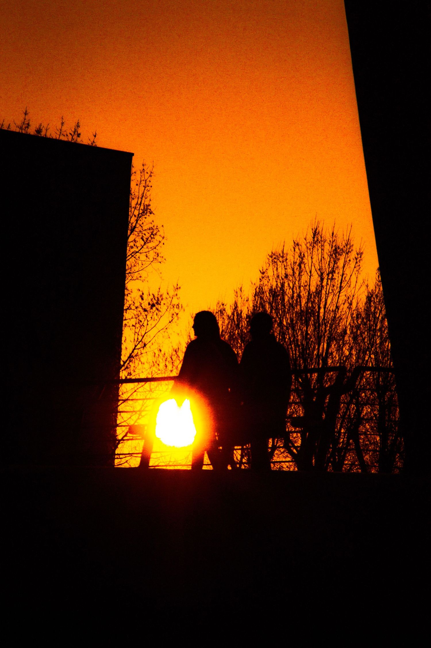 A dramatic orange sunset silhouettes bare winter trees and a building structure against a vibrant sky.