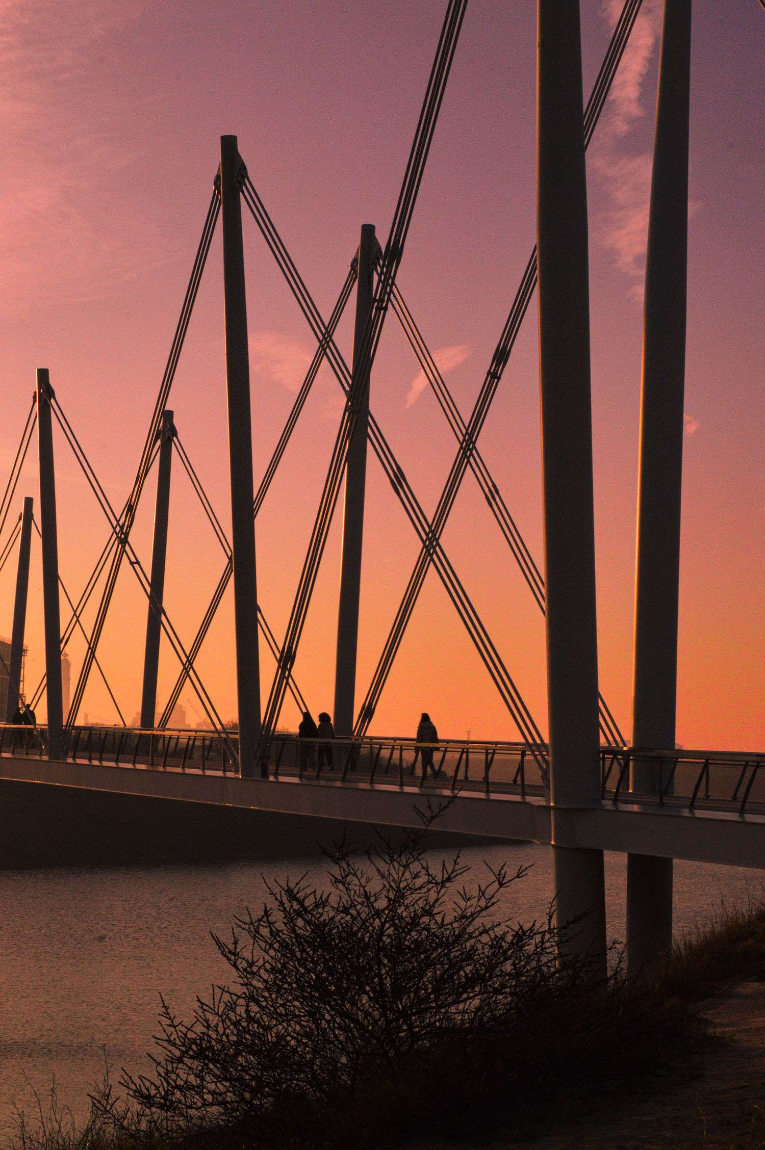 Silhouettes of sailboat masts and rigging against a vibrant pink and orange sunset sky at a marina.