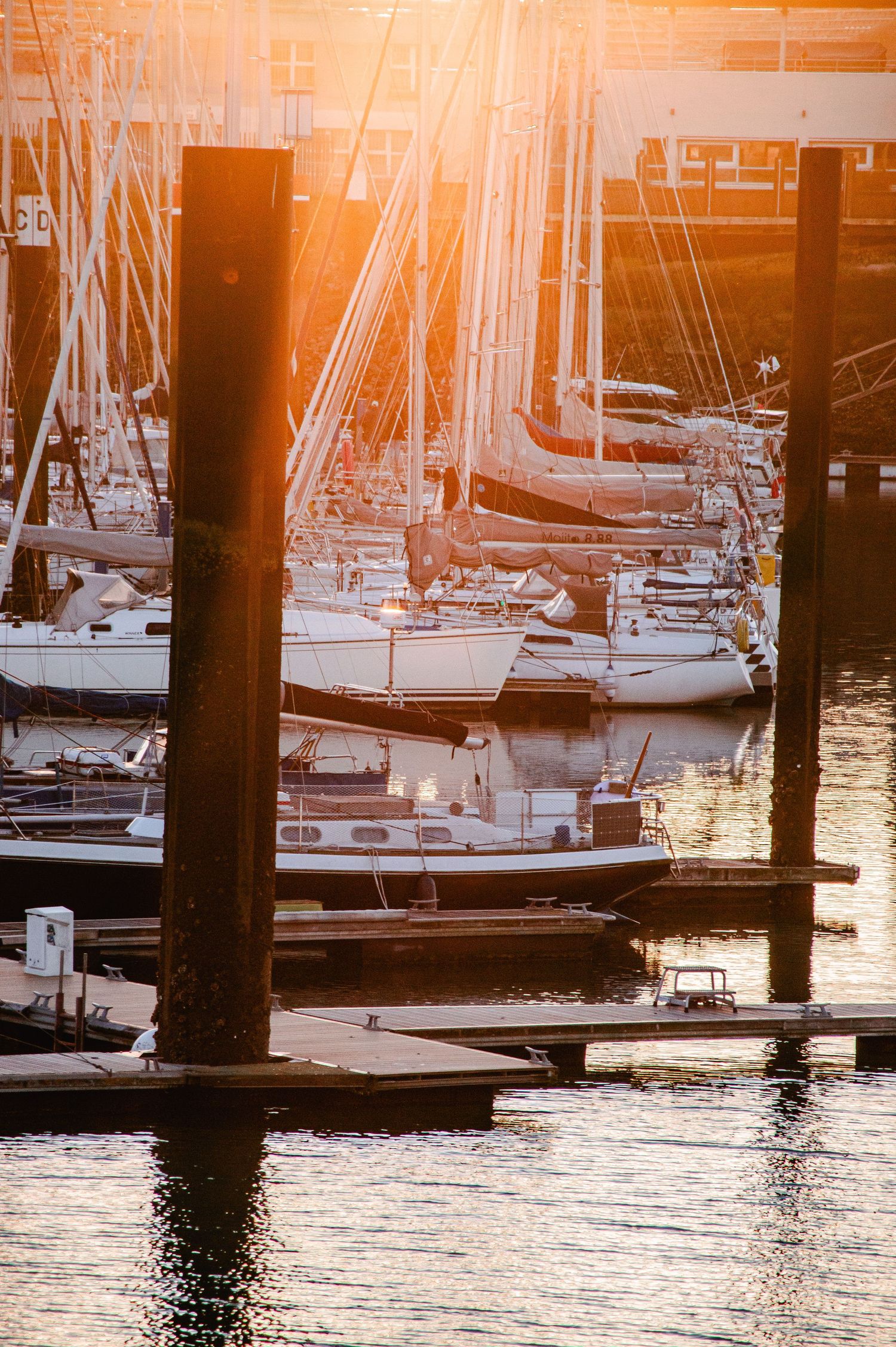 Sailboats docked at a marina during golden sunset with wooden posts casting shadows on the glistening water.