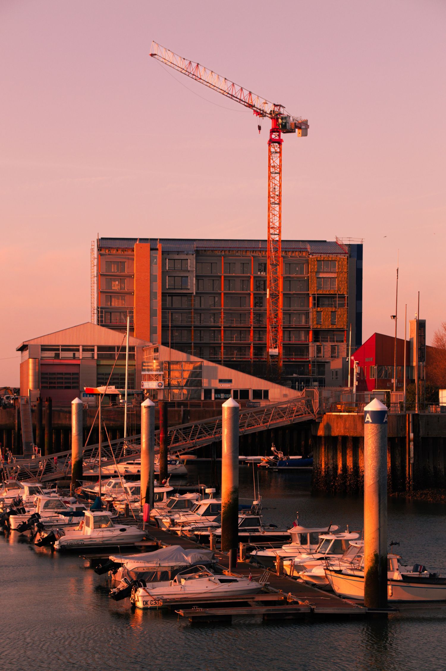Marina at sunset with boats docked alongside modern buildings and construction cranes in warm pink light.